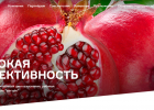 ООО СКМ: коллекторы Альфа-Банка